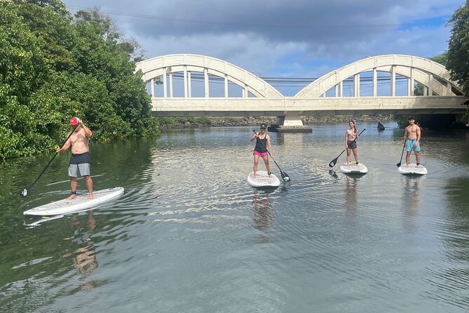 Haleiwa River Paddle Board Rental with Blue Planet Adventure Co. - Wildlife sightings: turtles, birds, and the best way to watch them