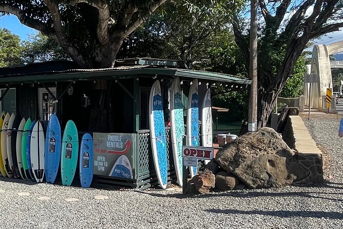 Haleiwa River Paddle Board Rental with Blue Planet Adventure Co. - A family-friendly 2 hours with room for different paddling comfort