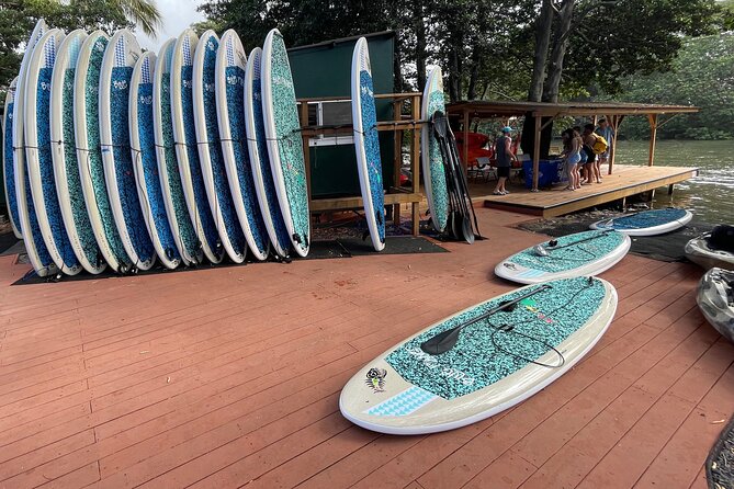 Haleiwa River Paddle Board Rental with Blue Planet Adventure Co. - Practical tips I’d use on your Haleiwa paddleboard rental day
