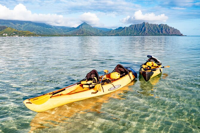 Half-Day Kaneohe Bay Sandbar Self-Guided Kayaking Experience - Getting there from 134b Hamakua Dr and dealing with wind