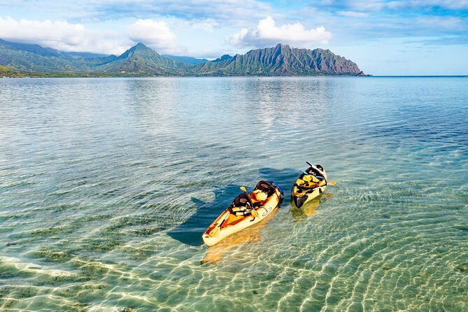 Half-Day Kaneohe Bay Sandbar Self-Guided Kayaking Experience - Who should book this self-guided Kaneohe Bay sandbar paddle