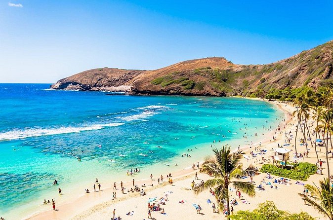 Hanauma Bay Experience with Admission Ticket and Equipment - Getting there on your own: don’t let logistics wreck snorkeling