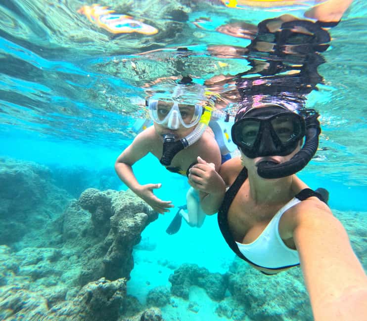 Hanauma Bay Guided Snorkel Tour with guaranteed entrance - Price and value: what you actually pay for the guaranteed entrance