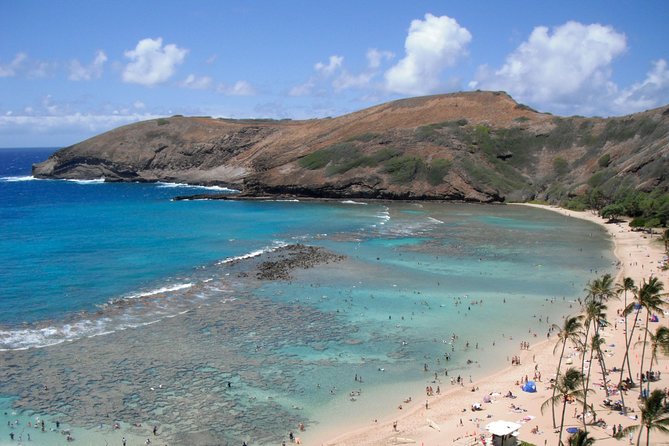 Hanauma Bay Guided Snorkel Tour (with guaranteed entrance time) - Where You Meet Your Guide and How the Entry Plays Out