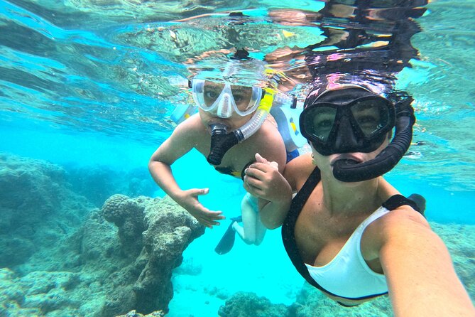 Hanauma Bay Guided Snorkel Tour (with guaranteed entrance time) - Timing Tips: How to Make Your Morning Easier