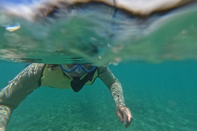 Hanauma Bay Guided Snorkeling Tour with Transportation - Key things that make this tour worth a closer look