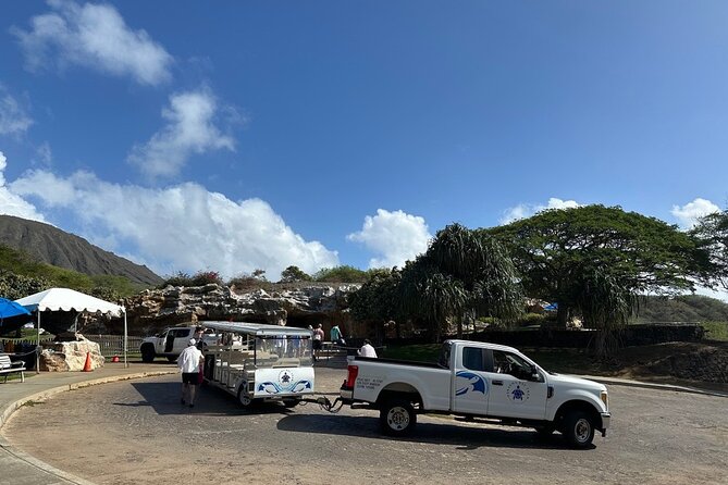 Hanauma Bay Snorkel Lesson - Price and value: what $84.95 covers and how to judge if it’s fair