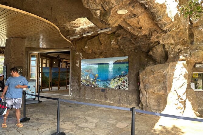 Hanauma Bay Snorkel Lesson - Who should book this Hanauma Bay snorkeling lesson