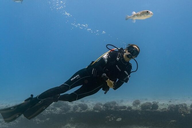 Hawaii DISCOVER Beginner + Certified 2 Tank Shallow Scuba Diving - Key Things to Know Before You Go