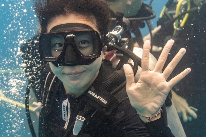 Hawaii DISCOVER Beginner + Certified 2 Tank Shallow Scuba Diving - First-Timer Friendly in Waikiki: What This Two-Tank Plan Really Means