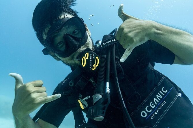 Hawaii DISCOVER Beginner + Certified 2 Tank Shallow Scuba Diving - Real Gear and Two Shallow Sessions: What You’ll Notice Once You’re In
