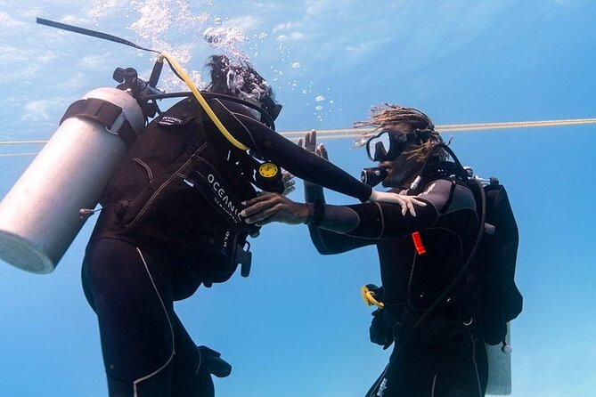 Hawaii DISCOVER Beginner + Certified 2 Tank Shallow Scuba Diving - Price and Value: What $299 Buys You (and Why It Can Be Worth It)