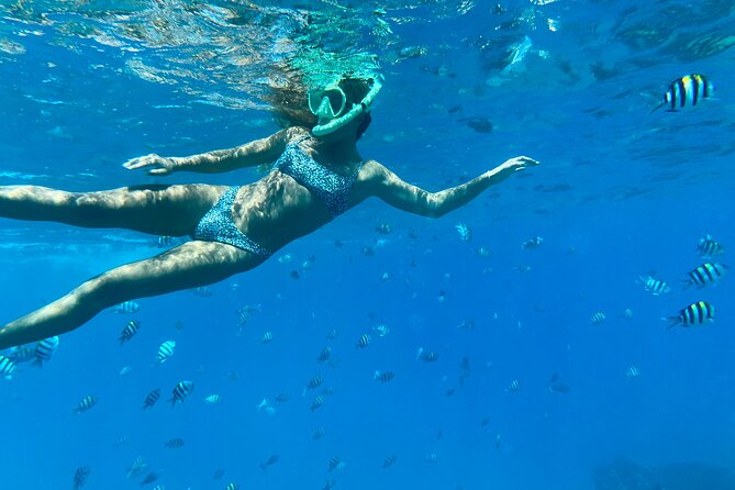Hawaiian Culture & Snorkel Adventure with Photo/Videos - What this 90-minute Oahu snorkel day feels like (and who it suits)
