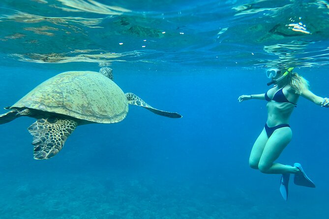 Hawaiian Culture & Snorkel Adventure with Photo/Videos - The ocean safety briefing and snorkel coaching (especially for first-timers)