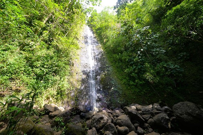Hawaiian Waterfall Hike - Key things to know before you go