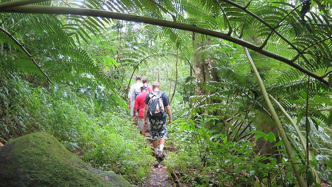 Hawaiian Waterfall Hike - Value check: what $101.41 gets you (and what you should compare)