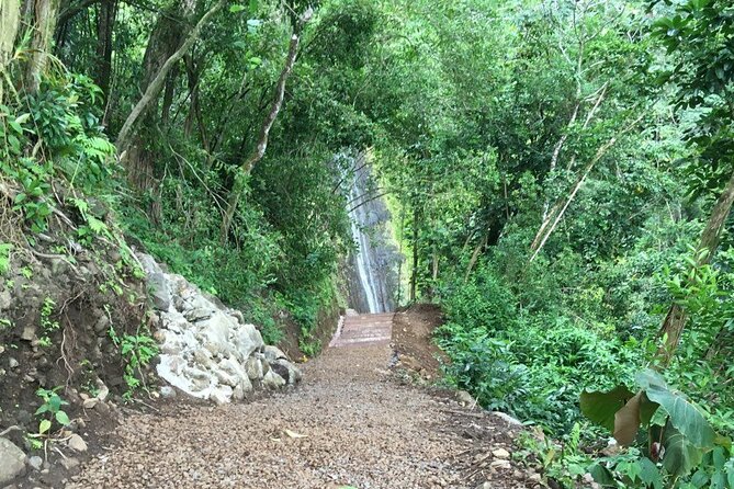 Hawaiian Waterfall Hike - Fitness and safety reality: who this hike fits best