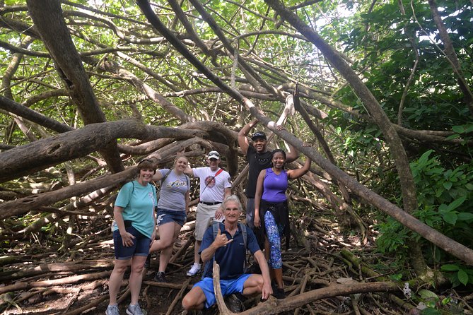 Hawaiian Waterfall Hike - The 2-mile itinerary in plain English: from trailhead to the falls