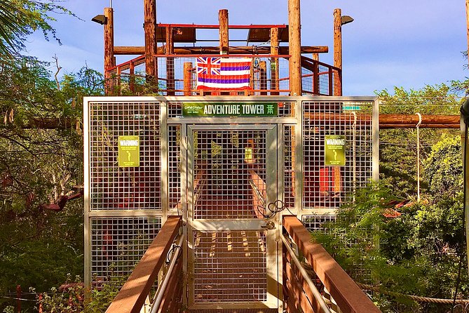 High Ropes Adventure Course at Coral Crater - Obstacles, tiers, and the moment you realize you can do this