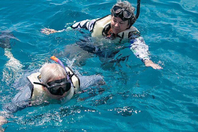 Hilton Hawaiian Village Turtle Snorkel with Optional Lunch - Whale Sightings in Winter: December Through March