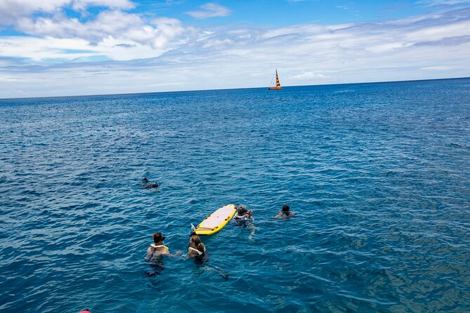 Hilton Hawaiian Village Turtle Snorkel with Optional Lunch - Tips to Get the Best Turtle Odds and a Smoother Ride