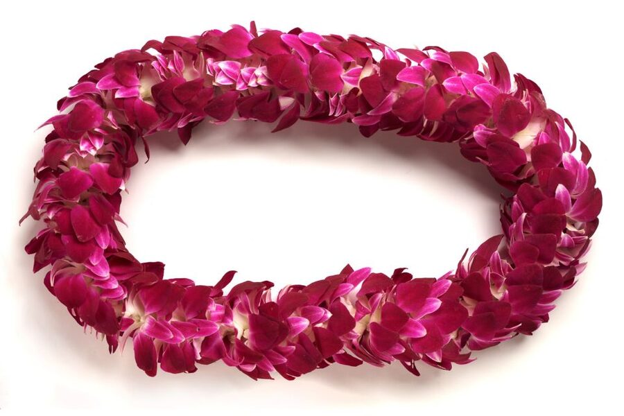 Honolulu Airport Custom Lei Greeting - Choose Your Lei - Best For Honeymooners, First Timers, and Families With Lots to Carry
