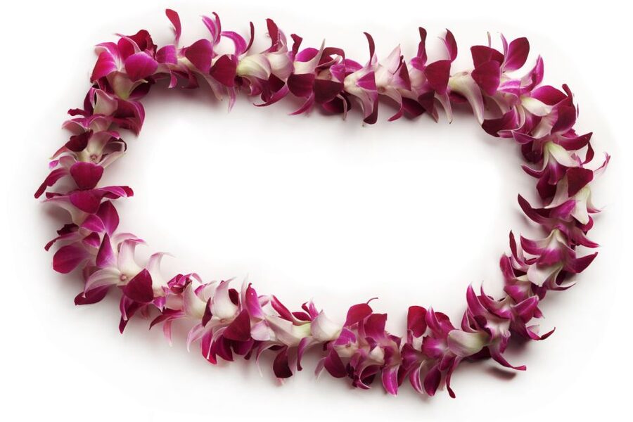Honolulu Airport Custom Lei Greeting - Choose Your Lei - Real-World Details That Matter (Like Luggage Help and Delays)