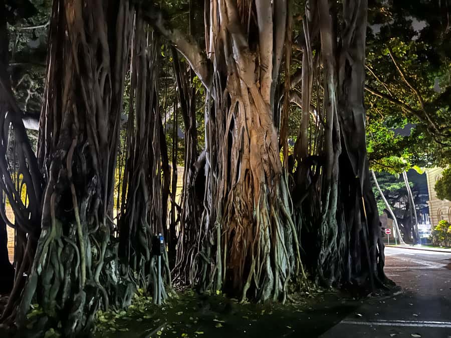 Honolulu Haunts: Ghosts and Spirits Walking Tour - What You’ll Miss: No Private Building Entry
