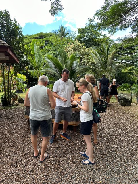 Honolulu: Highlights of Oahu Small Group Tour - Hanauma Bay and the east-side coastline: scenery with a wildlife season bonus