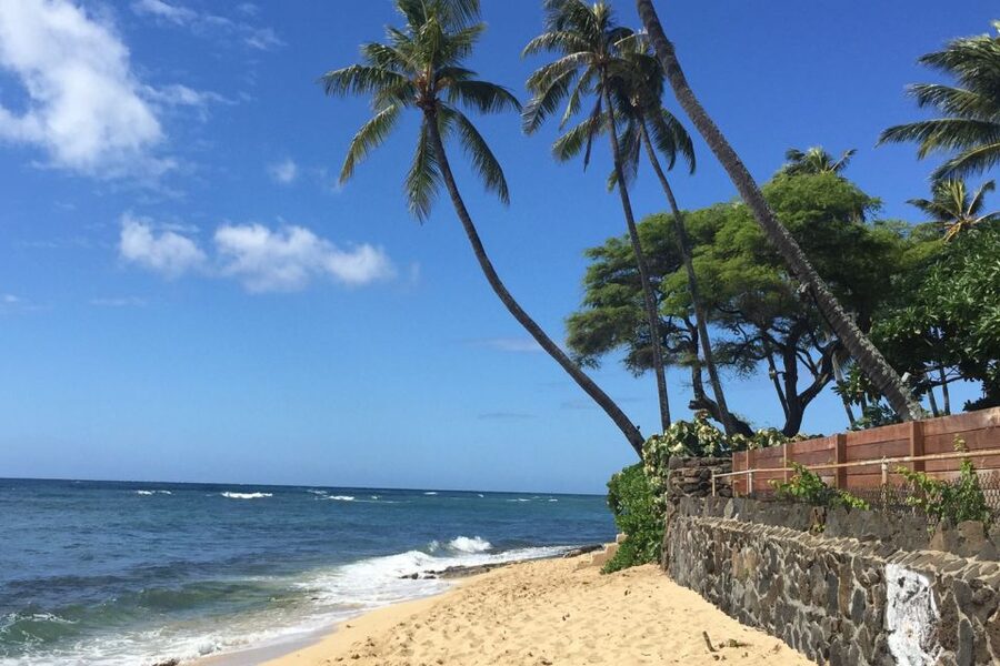 Honolulu: Highlights of Oahu Small Group Tour - Movie-set Oahu: where the screen meets the road