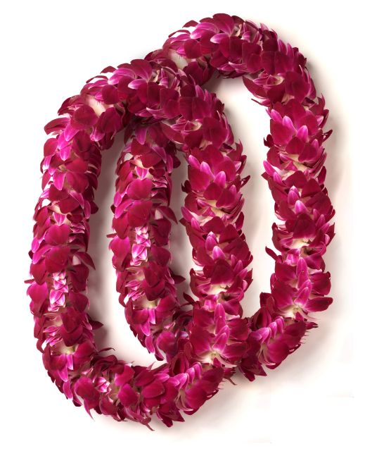 Honolulu Honeymoon Airport Lei Greeting - Value Check: Is $78 for Up to Two People Worth It?