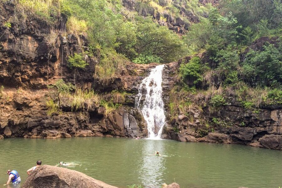 Honolulu: Oahu Island Full-Day Guided Tour by Bus with Lunch - Who should book this Oahu bus day trip