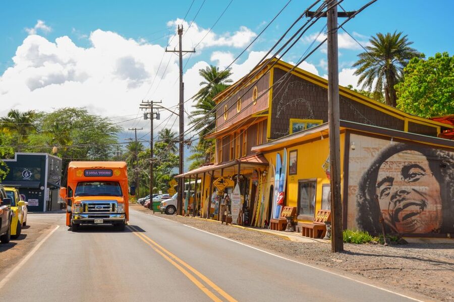 Honolulu: Oahu Island Full-Day Guided Tour by Bus with Lunch - North Shore surfing beaches: 7 miles of big-name coastline