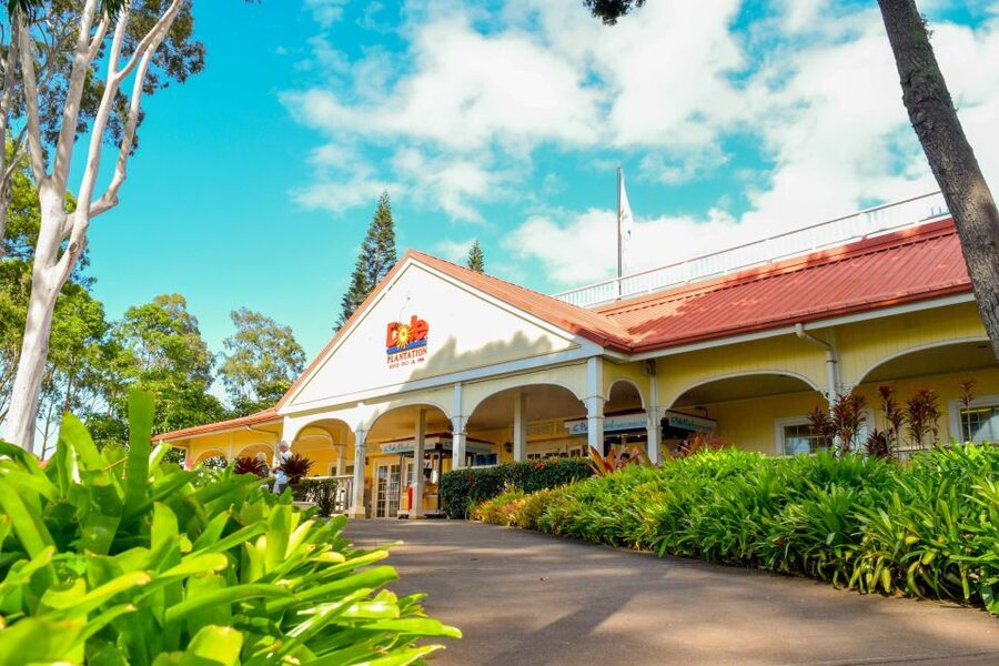 Honolulu: Oahu Island Full-Day Guided Tour by Bus with Lunch - Dole Plantation stop: pineapple rows and sugarcane photos