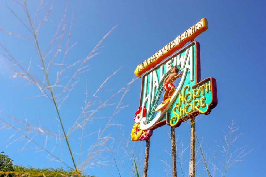 Honolulu: Oahu Island Full-Day Guided Tour by Bus with Lunch - Lunch on the road and how to plan your day