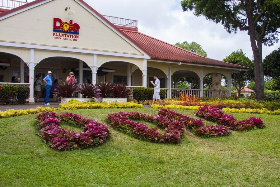 Honolulu: Oahu Island Highlights Tour with Multiple Stops - Hukilau Marketplace at Polynesian Cultural Center and Pounders: a culture break