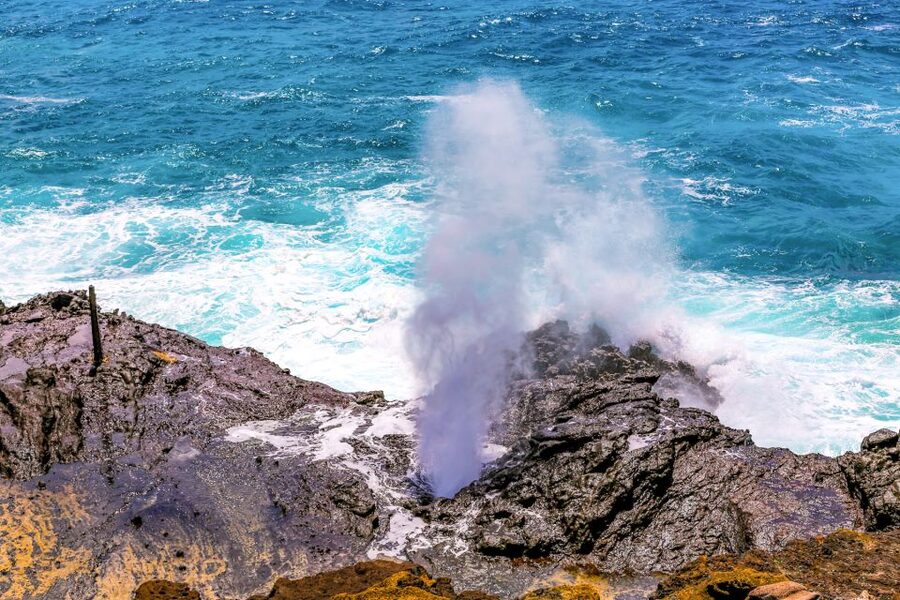 Honolulu: Oahu Sights and Bites Circle Island Foodie Tour - Key things I’d circle on your map