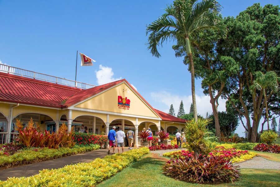 Honolulu: Oahu Sights and Bites Circle Island Foodie Tour - East Oahu photo stops: Makapuʻu and Chinaman’s Hat bring the postcards