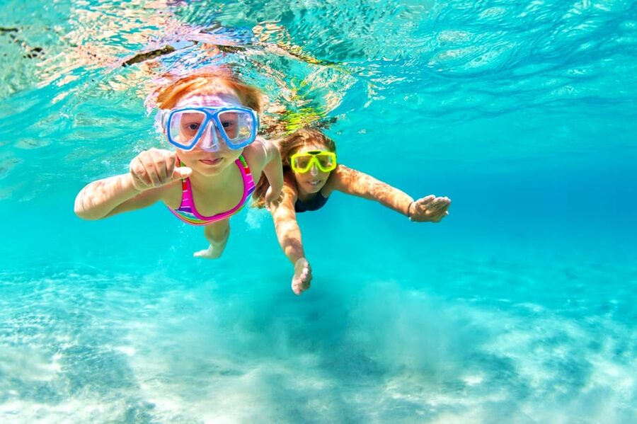 Honolulu, Oahu: Waikiki Turtle Snorkel Tour w/Shuttle Option - Price and Value: Is $69 Worth It?
