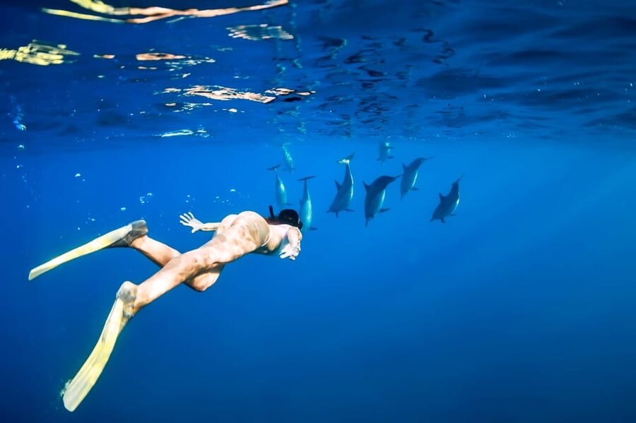 Honolulu, Oahu: Waikiki Turtle Snorkel Tour w/Shuttle Option - Meeting Point at Ala Moana: The Part You Should Not Rush