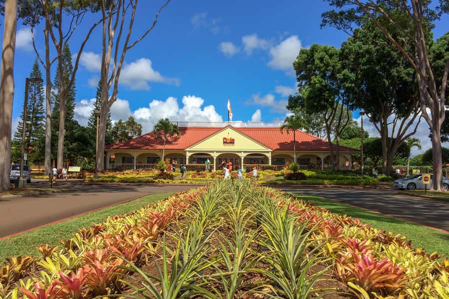 Honolulu: Ultimate Pearl Harbor and Circle Island Tour - From Pearl Harbor to Oʻahu’s War Targets: The Wheeler Airfield Thread