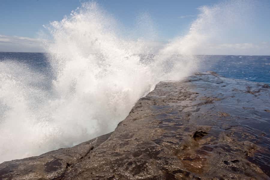 Honolulu: Ultimate Pearl Harbor and Circle Island Tour - Dole Plantation and Hukilau: Sweet Breaks That Still Feel Local