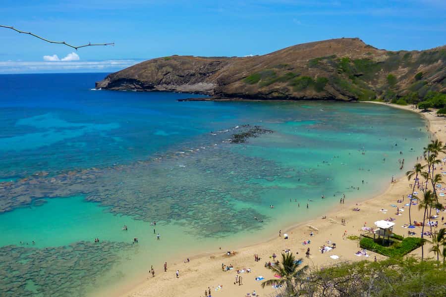 Honolulu: Ultimate Pearl Harbor and Circle Island Tour - Nuʻuanu Pali Lookout: Wind, Cliffs, and Battle-Era Meaning