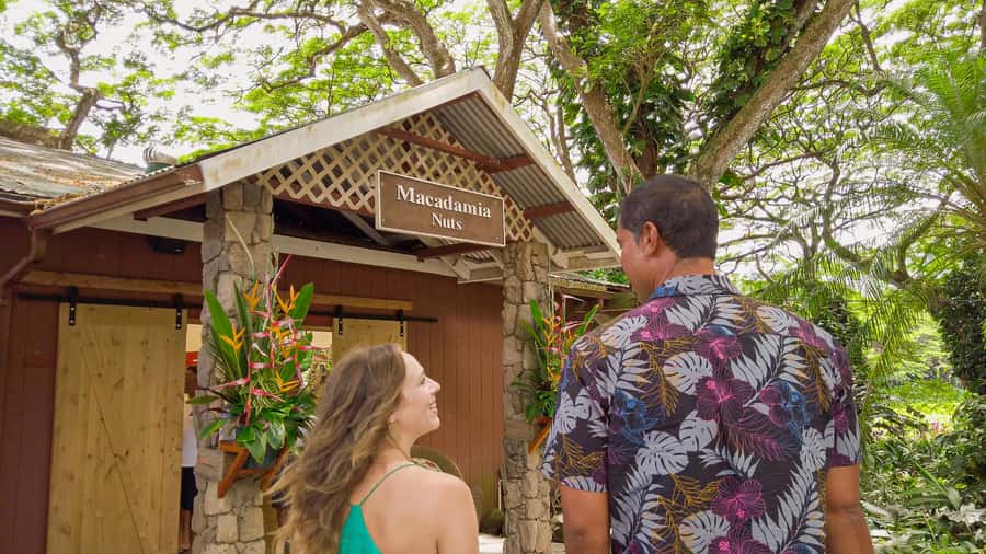 Honolulu: Ultimate Pearl Harbor and Circle Island Tour - Getting Around: Pickup, Timing, and Bag Rules That Actually Matter