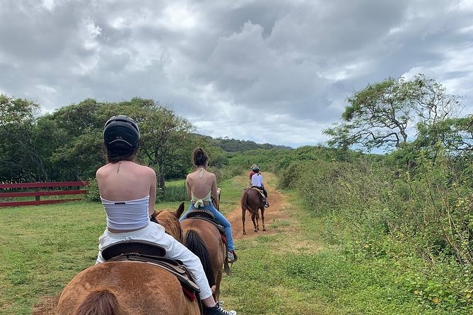 Horseback Ride Like an Authentic Paniolo in Kahuku - Who This Ride Fits Best (And Who Might Want Alternatives)