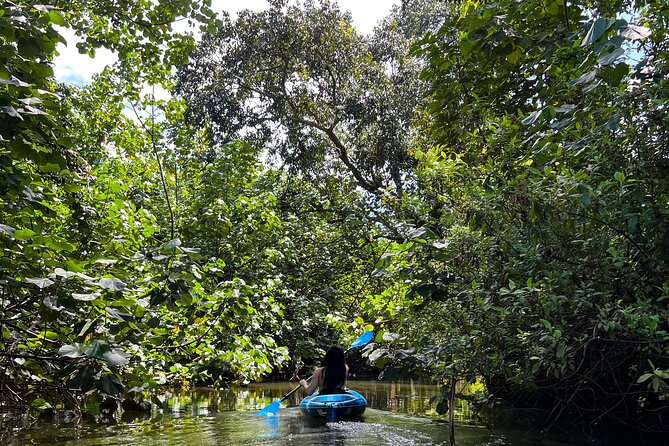 Kahana Bay River to Ocean: Kayak and Stand Up Paddle Board Rental - Key things that make this paddle rental worth your time