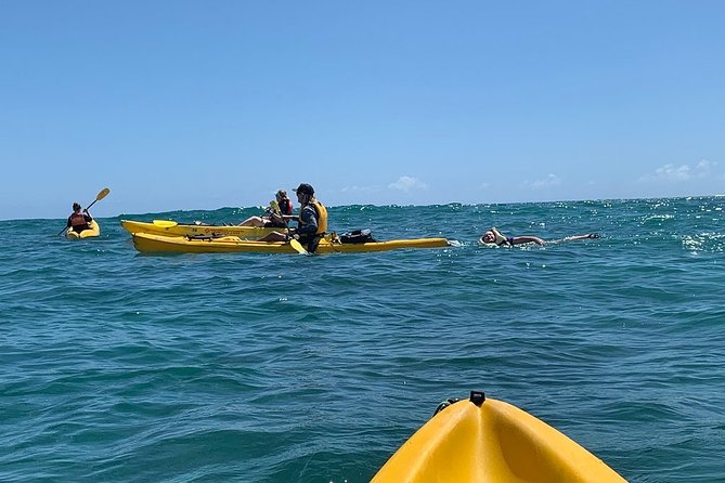 Kailua 2-Hour Guided Kayaking Excursion, Oahu - Kayak transport: dolly and drag reality (and how to plan for it)