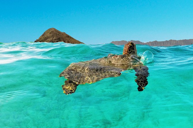 Kailua Bay, Oahu: Epic Kayak and Snorkel to Islands - Mokulua Islands and Queen’s Bath: the island side that feels special
