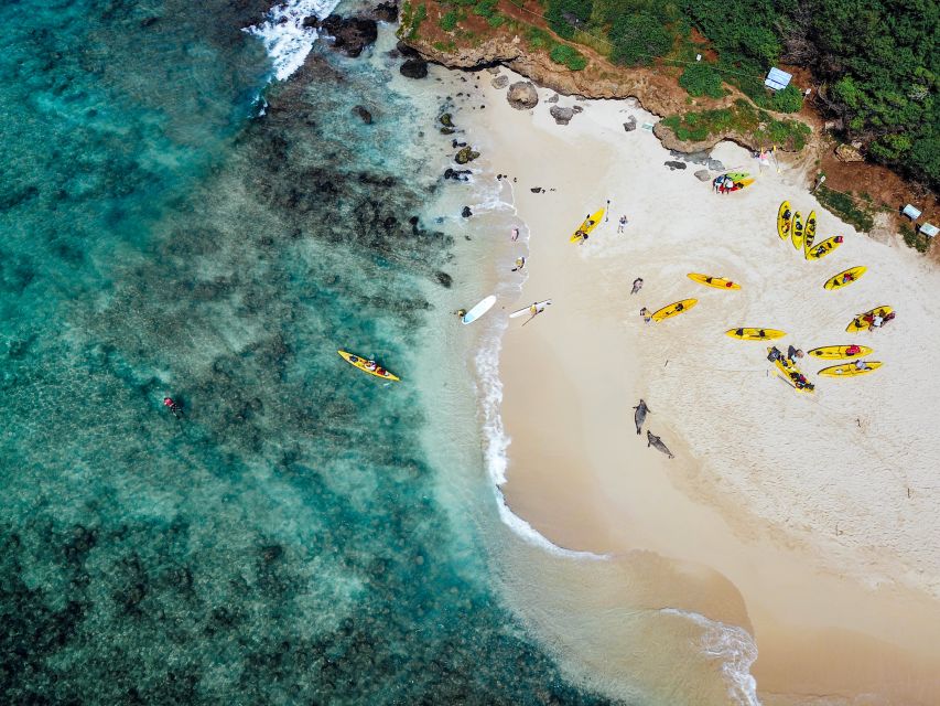Kailua: Mokulua Islands Guided Kayak and Snorkeling Tour - Lanikai Beach break and the kayak surfing moment