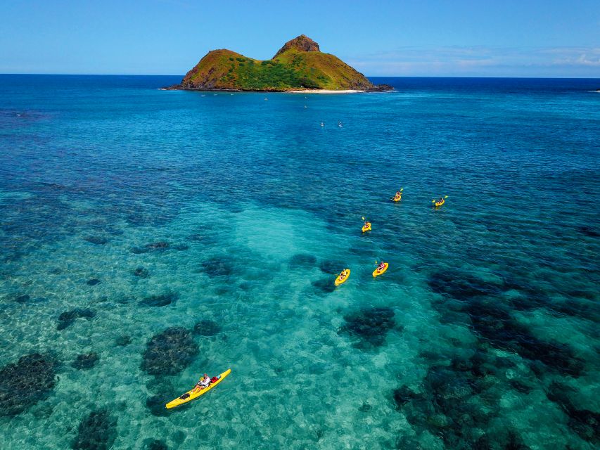 Kailua: Mokulua Islands Guided Kayak and Snorkeling Tour - Meeting at Kailua Beach Adventures and what the first hour sets up